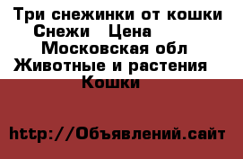 Три снежинки от кошки Снежи › Цена ­ 100 - Московская обл. Животные и растения » Кошки   